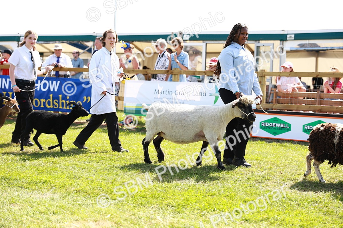 SBM_08399 - Grand Parade