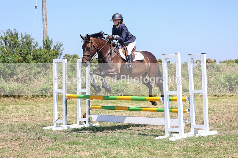 3E7A4443 - Class 10: Senior British Novice/90cm open