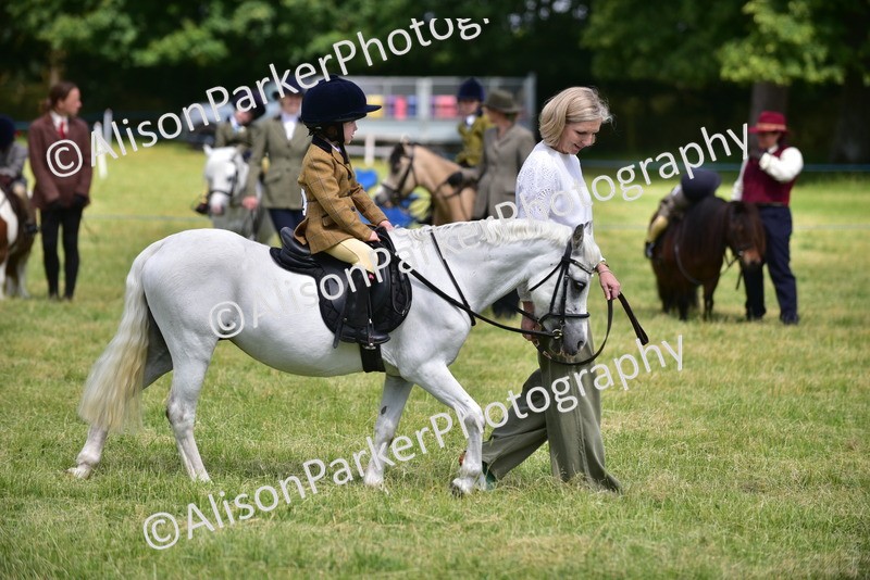 20260614-1261 - Class 11a - Lead Rein Pony (Unplaited)