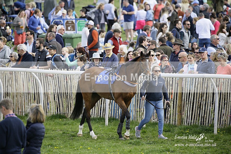 PtP 180422 43 - Old Berkshire PtP Lockinge 18/04/22