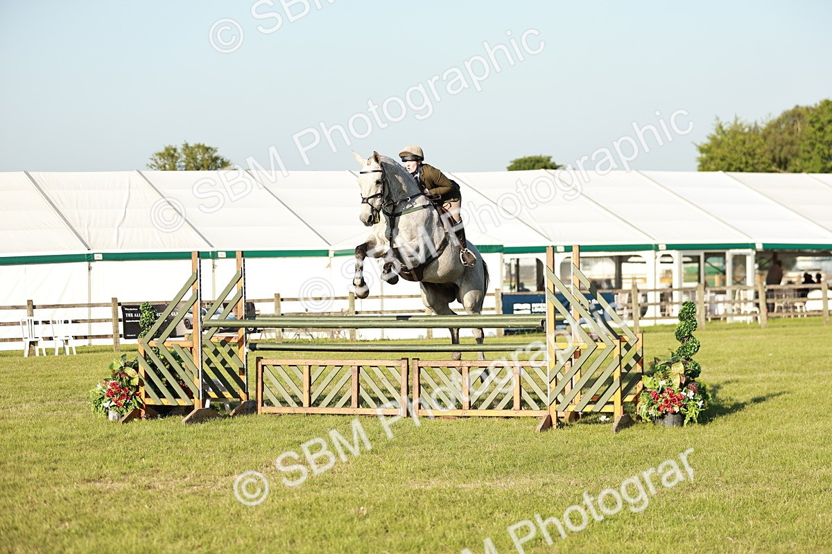 SBM_20420 - Class 117-119 - Sport Horse Working Hunter