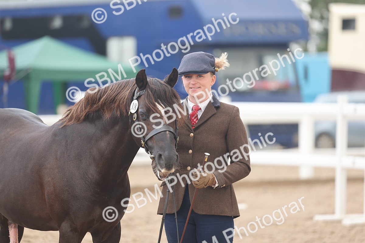 SBM_03282 - Class 16 - IH M&M Wildcard