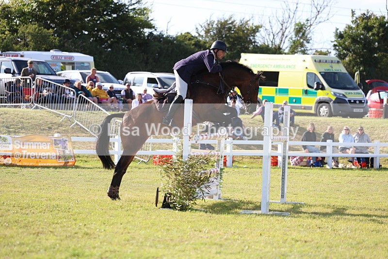 3E7A4433 - Class C: Showjumping Senior Foxhunter