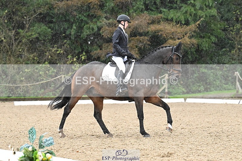 251023A-121057-02170 - B-142-Harry.Hodge