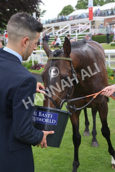 yr11062022r6-44 - Race 6 4.15pm Reg Griffin Appreciation EBFstallions.com Maiden Stakes