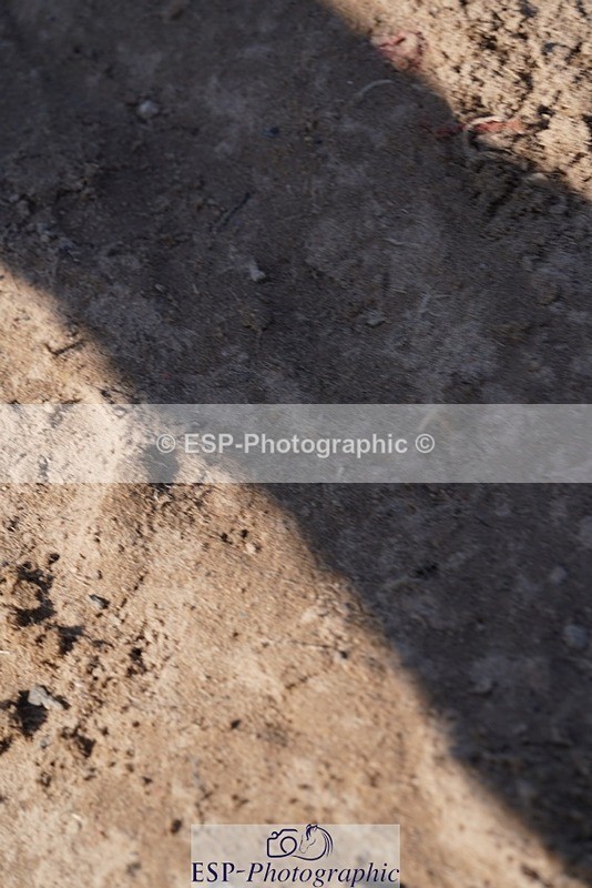 240728-092124-00320 - PC70, Round 1