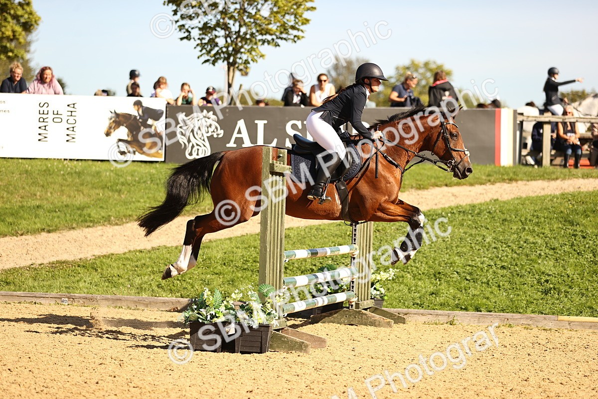 SBM_38245 - J39 - Senior 85cm Championship