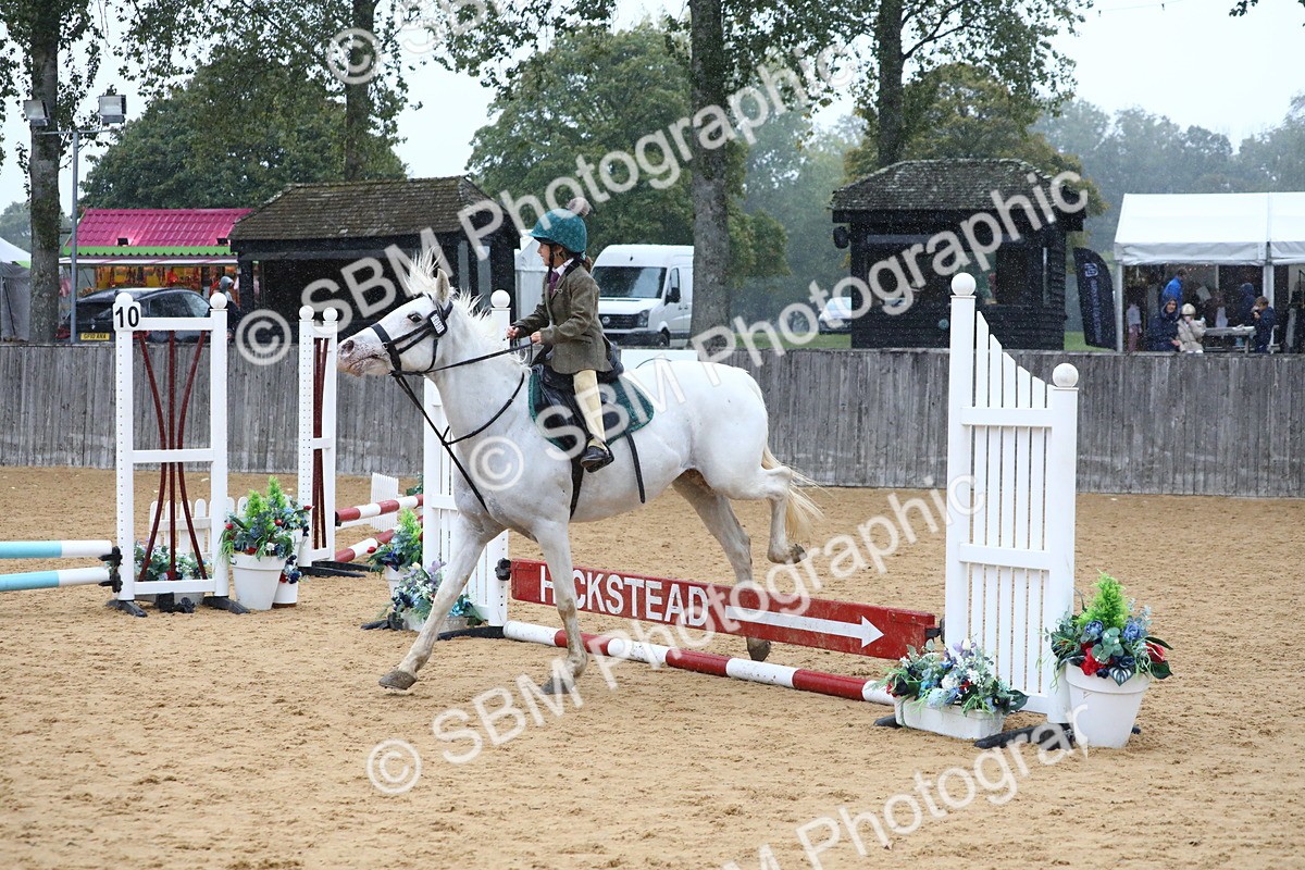 SBM_71471 - J4 - Mini Tour Junior Pony 45cm Championship