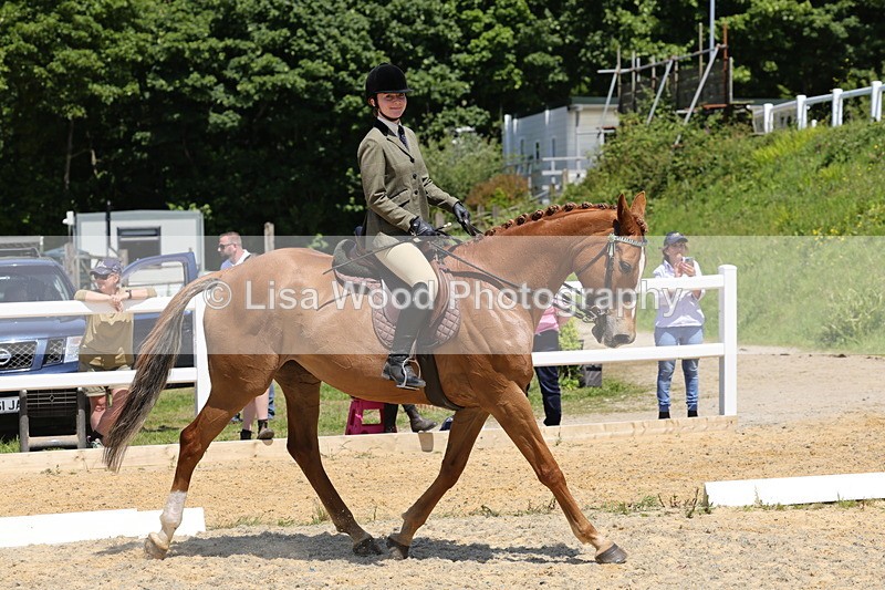 1X9A1808 - Class 12: Ridden Riding Horse/Hack