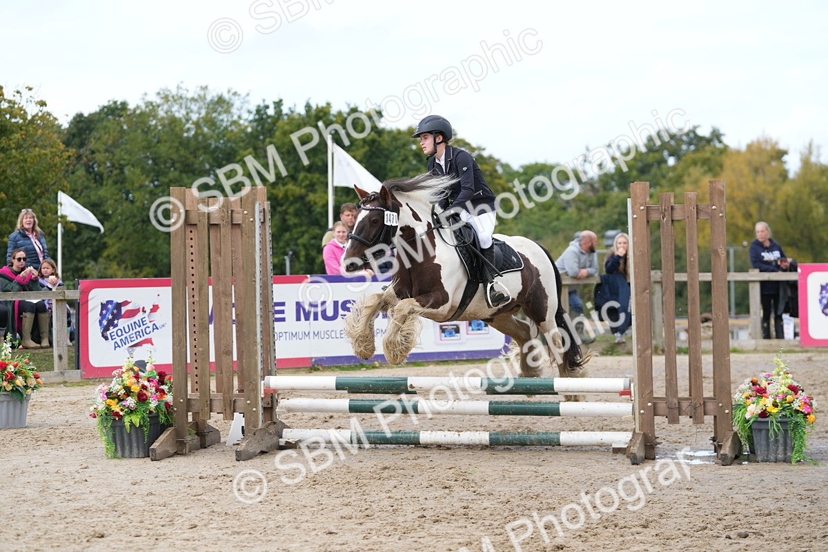SBM_40724 - Supreme Championship Pony 50-55cm