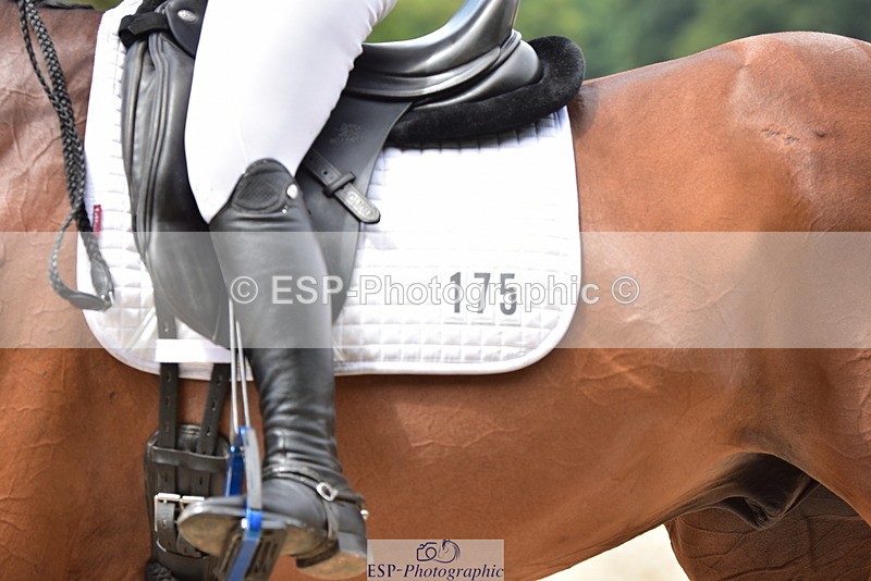 250719A-124232-05678 - 175-Louise.Hendy-Gulf.Of.Poets