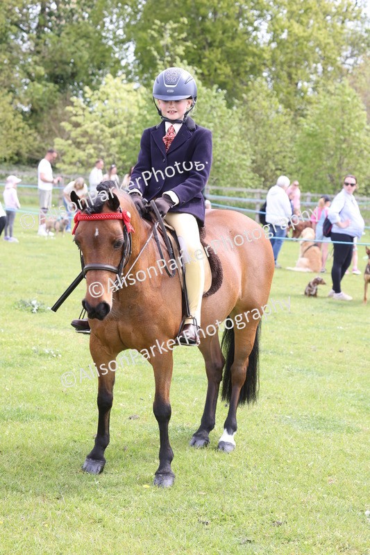 20260426-3060 - Class 33 - Best Pony 14.2hh and Under