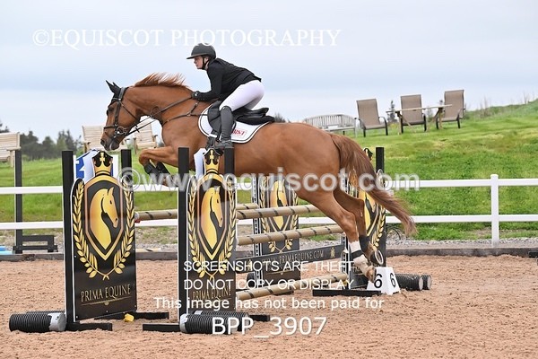 BPP_3907 - CLASS 16 SUN Senior Newcomers/1.10m Open
