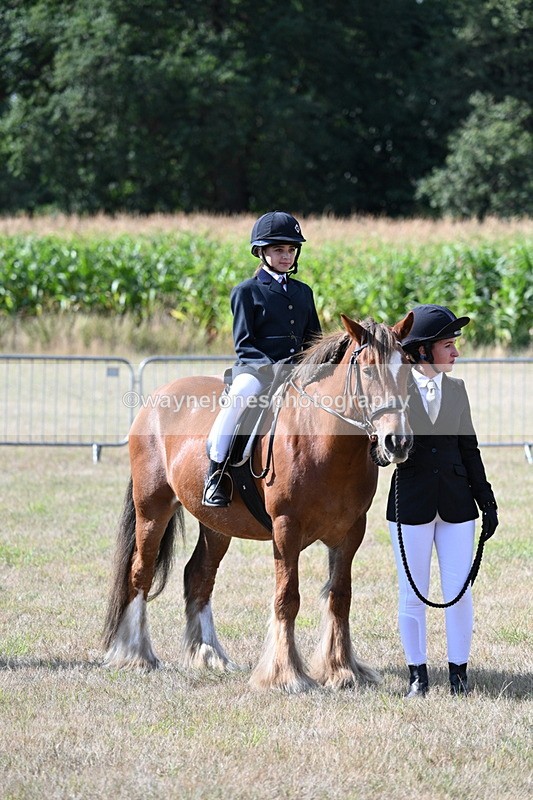 WJ7_2727 - Class 8 Ridden Tack & Turnout