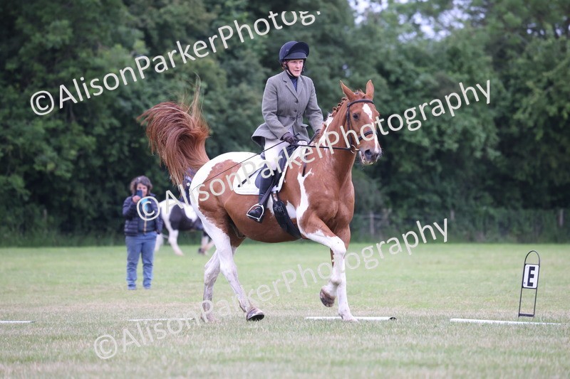 20250605-0759 - Class 4 - Novice 2