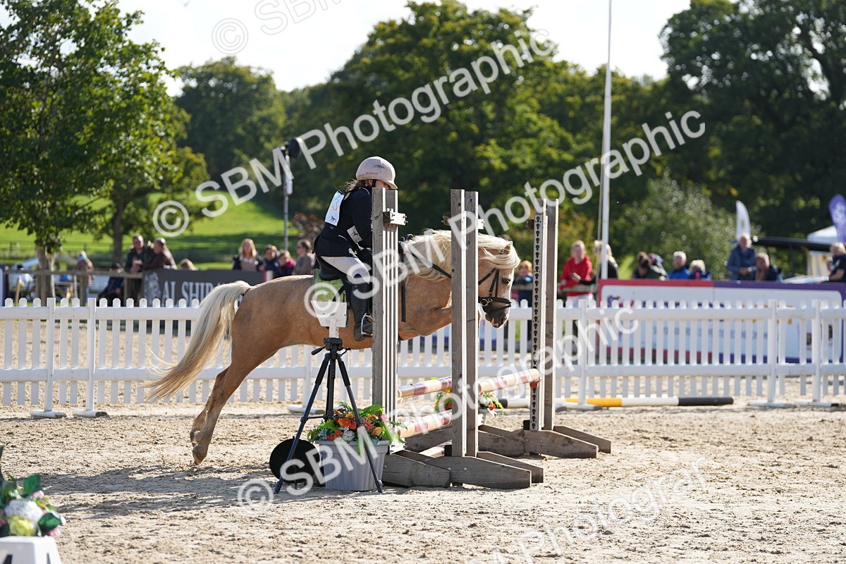 SBM_49275 - J8 - Junior Pony 65cm Championship