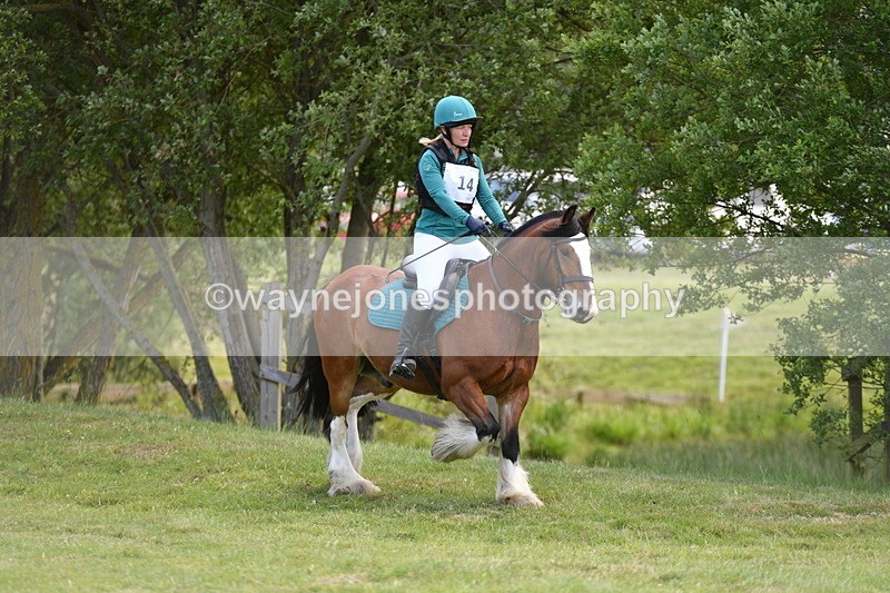 WJ5_2648 - Class 2 40cm