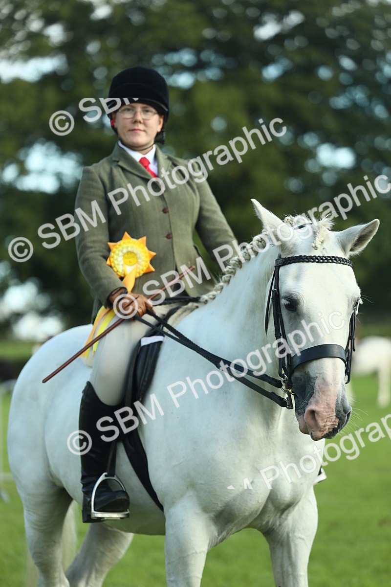 SBM_49941 - S32 - Novice & Newcomers Working Hunter