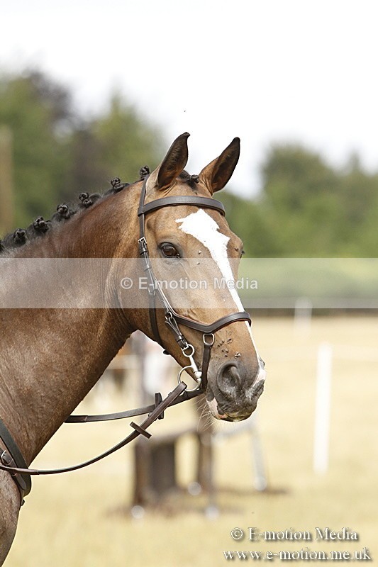 _BS_0697 - BVRC Show 2018 Ring 3