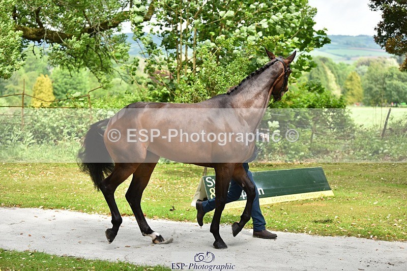 240522-150400-00070 - 303-KILLEENHOUSESTUD_OBOS_16-Tom_D_Crisp