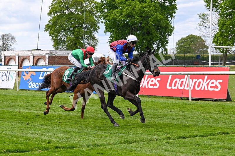 030525-Race 2-Under The Radar-2602 - Race 2