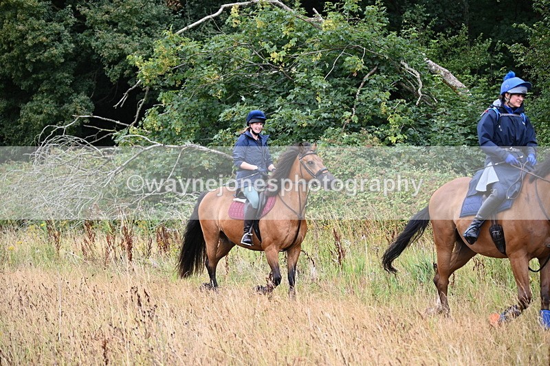 WJ6_2264 - Group 6?