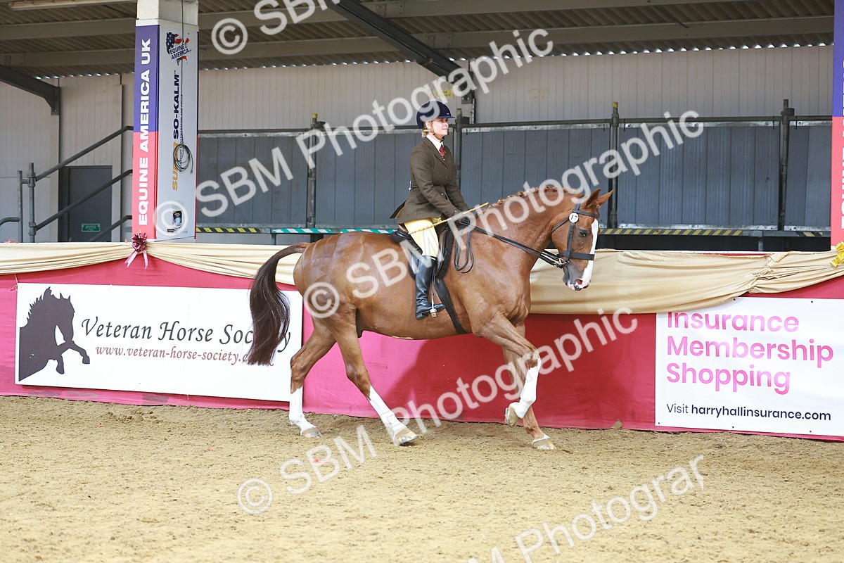 SBM_12454 - Class 103 - HOYS Veteran Qualifier - Ridden Pre Vet
