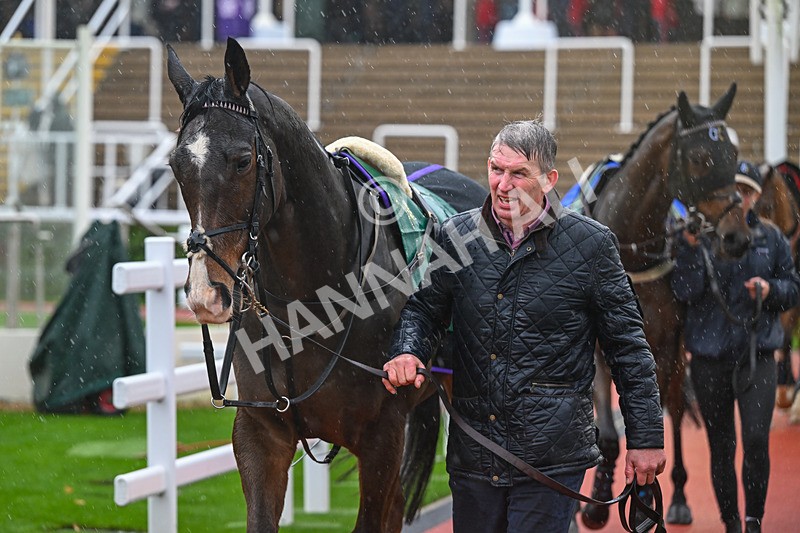 141125-Race 1-Priory Park-8581 - Race 1