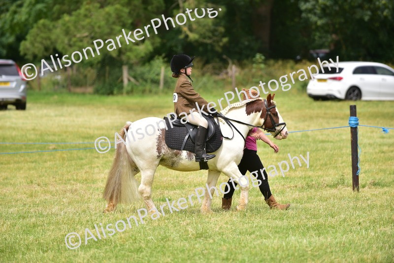 20260614-4172 - Class 17 - Best Mane and Tail