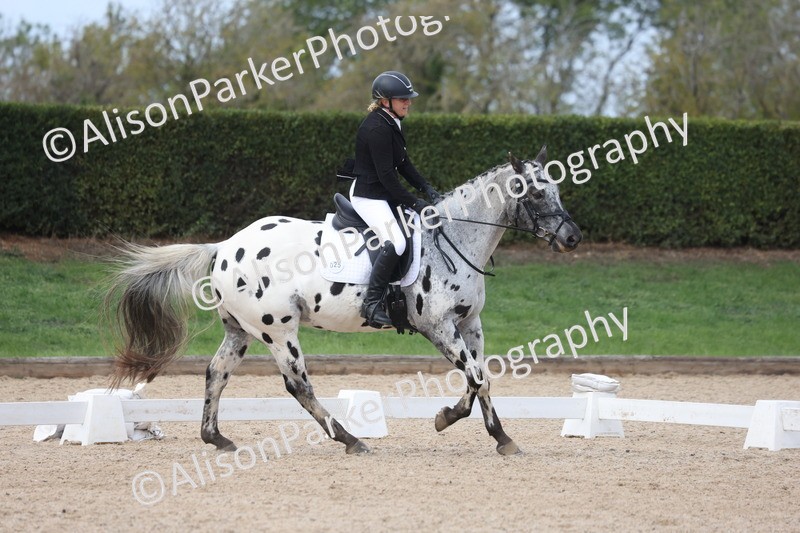 20261010-0695 - Class 6 - Novice 2