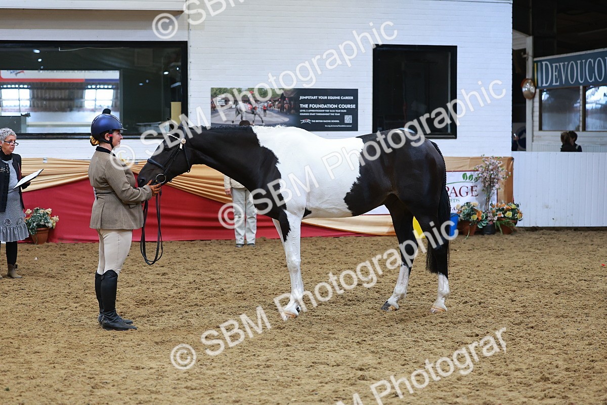 SBM_09796 - Class 102 - HOYS Veteran Qualifier - Ridden Veteran