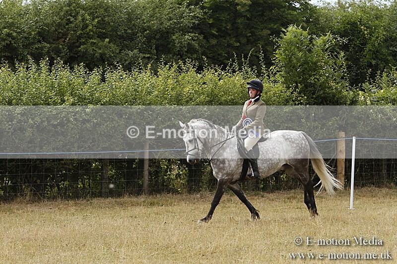 _BS_1038 - Working Hunter Championship BVRC Show 2018