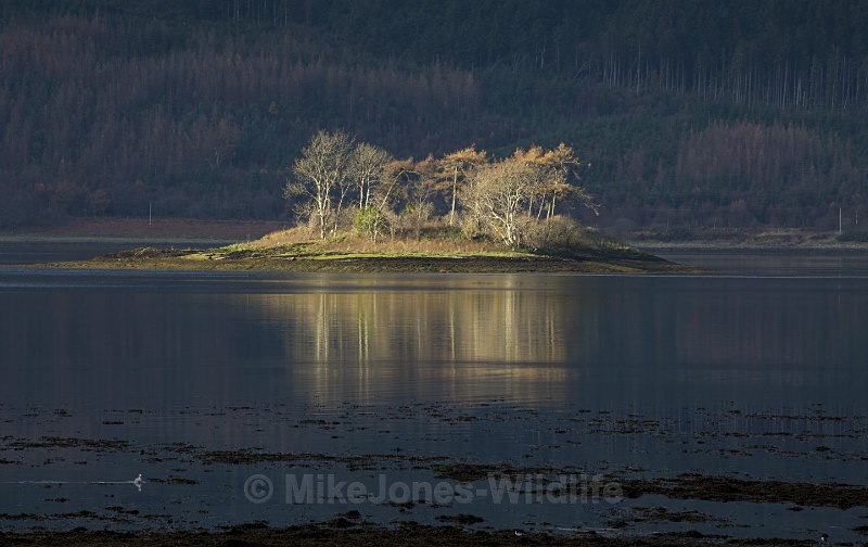Isle of Mull, Scotland. Landscape photography - SCOTLAND LANDSCAPE PHOTOGRAPHY