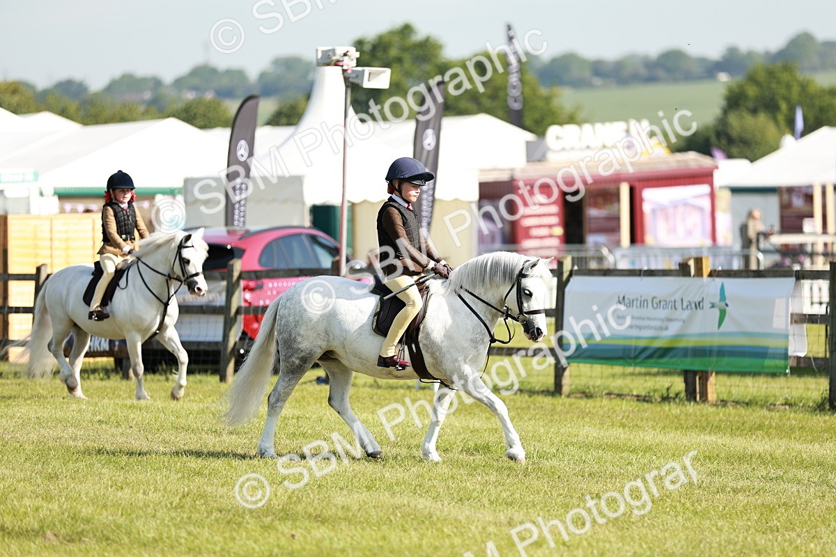 SBM_12559 - Class 106-107 - BSPS LIHS Working Sports Pony
