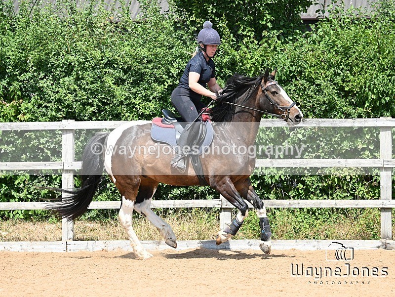 WJ7_6545 - Show Jumping at BCA