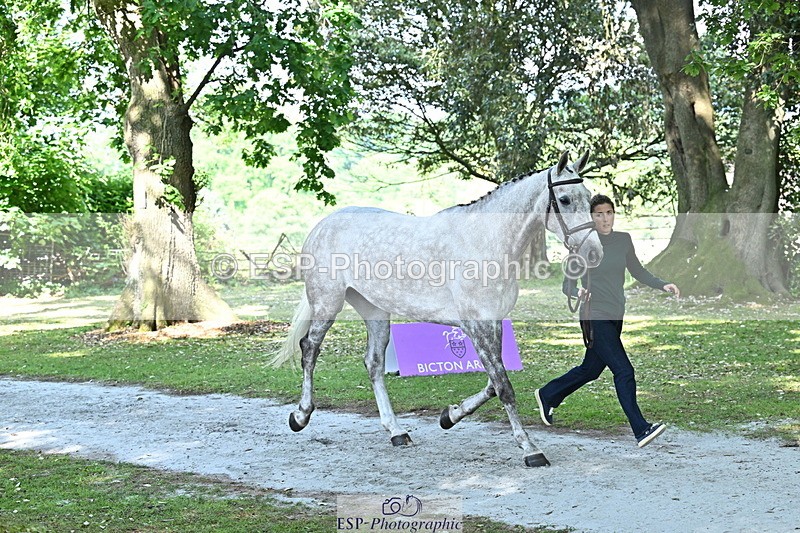 250521A-160442-00900 - C-253-Kirsty.Chabert-GLOBAL.EMPRESS