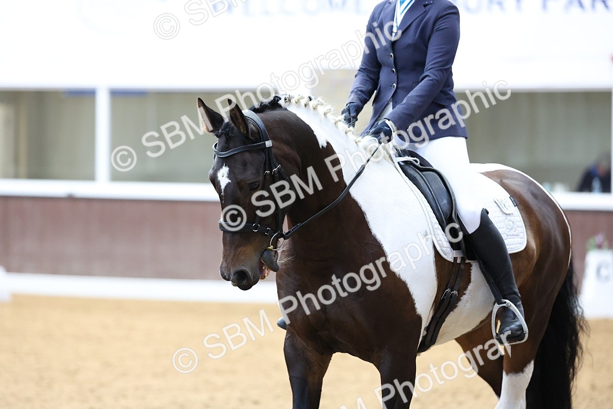 SBM_015876 - Class 15 - Novice FSM - 9.50 - 11.10