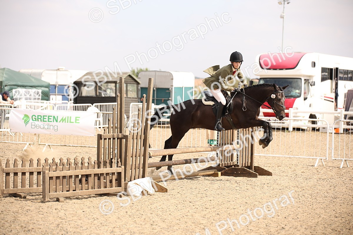 SBM_14966 - Class 408a - Working Veteran 70cm (15-19