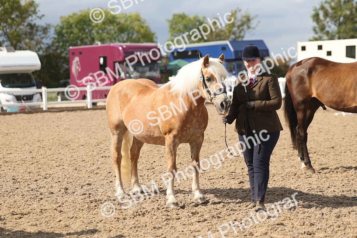 SBM_06870 - Class 25 - IH Foreign Breeds - Purebred