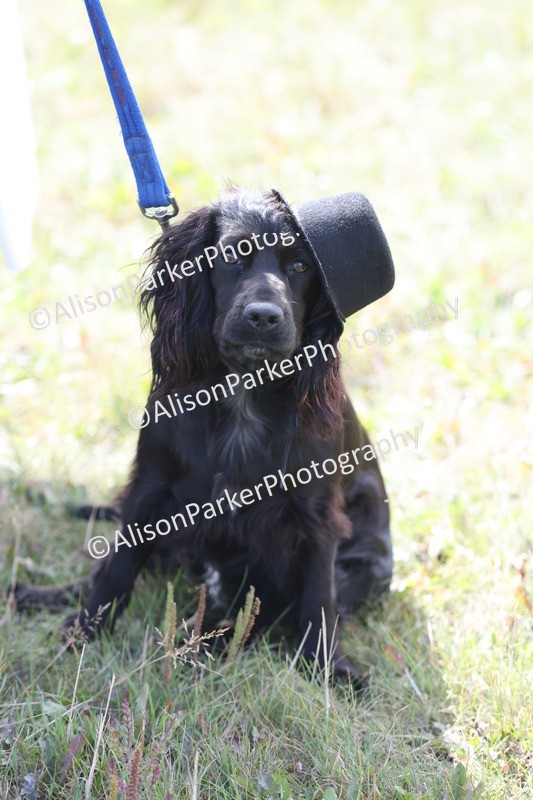 20250831-3460 - Class 26 - Fancy Dress