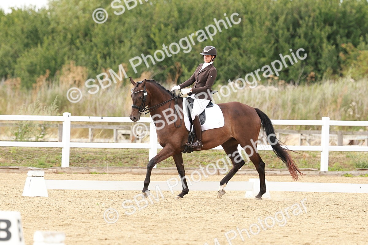 SBM_002374 - Class 11 - Medium 6