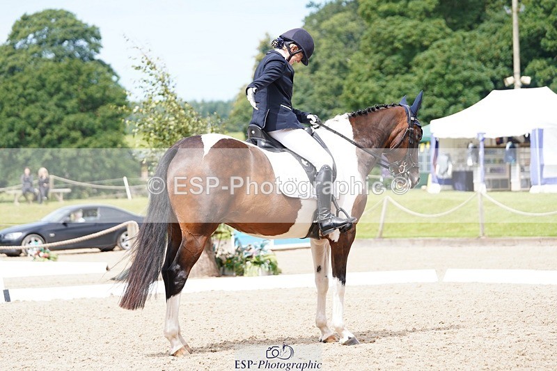 240721-113556-07852 - 124-Sophie_Savage-Two_Tone_Ted