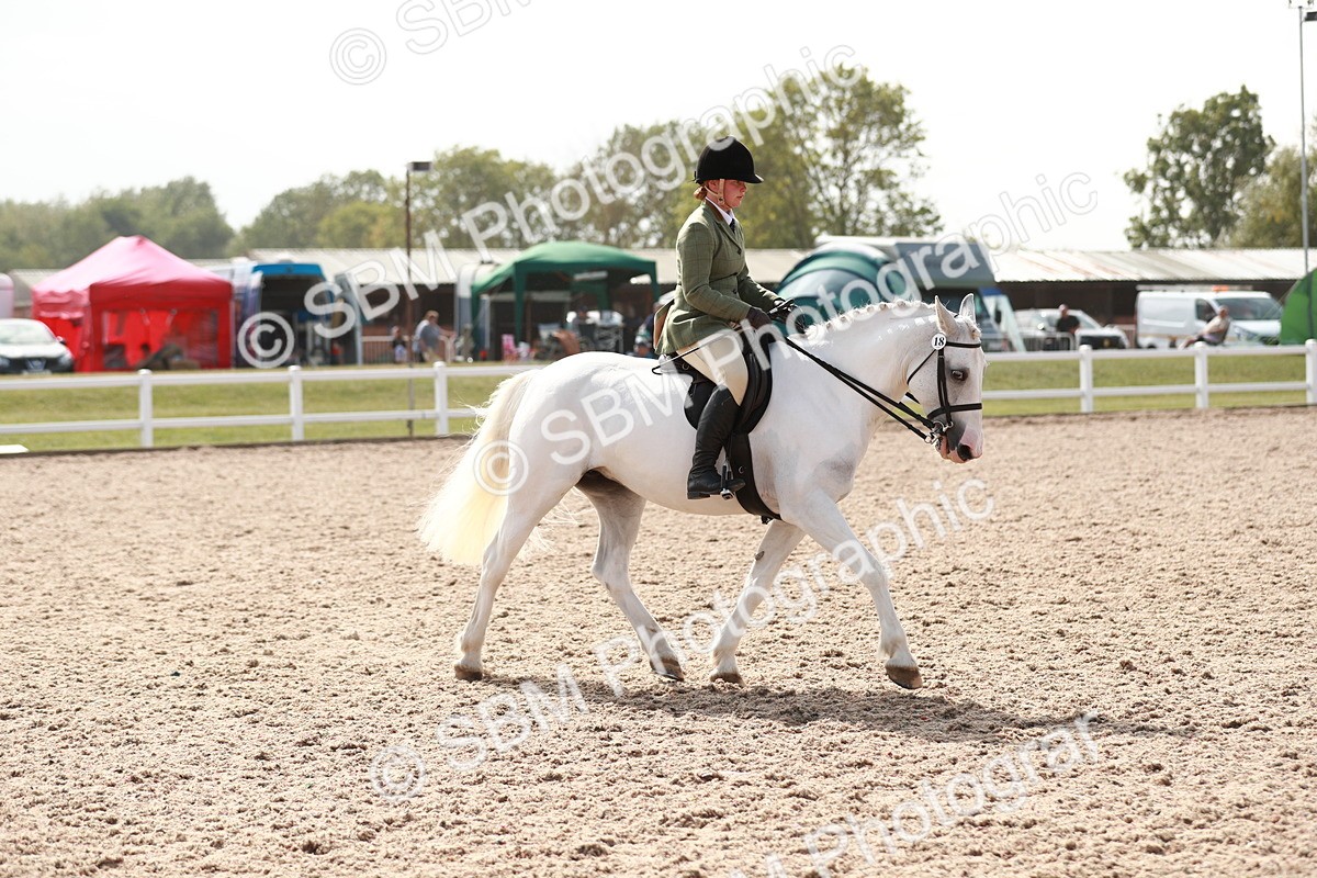 SBM_14852 - Class 212 Ridden Hunter - Small