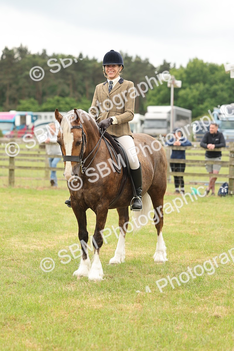 SBM_07250 - Class 76-77 - Ridden M&M Welsh Ponies