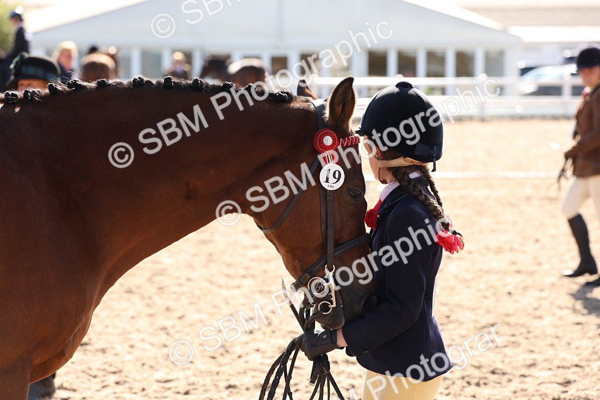 SBM_12827 - Class 205 - IH Show Pony - Show Hunter Pony
