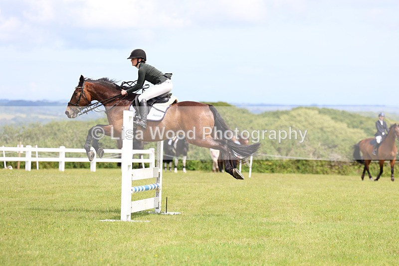 3E7A7516 - Class 13: Senior British Novice/90cm open