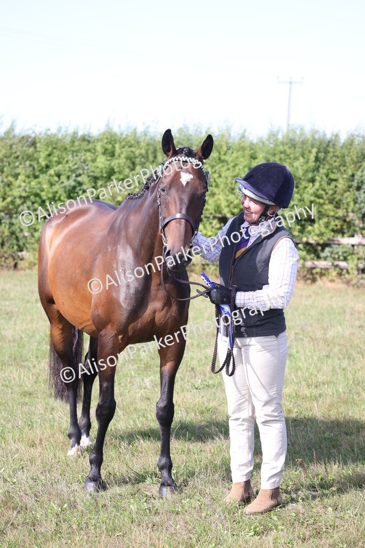 20260906-0718 - Class 22 - Ex Racehorse