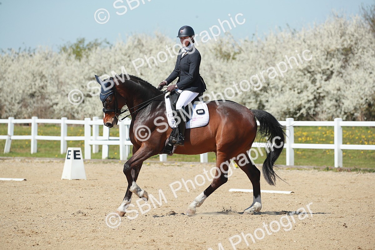 SJ3_1175 - Class 8 - E5