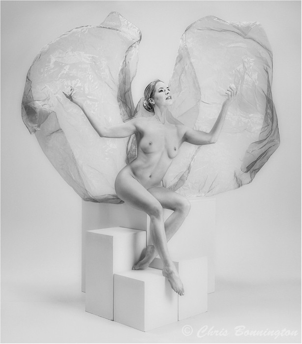 Winged Pose - People