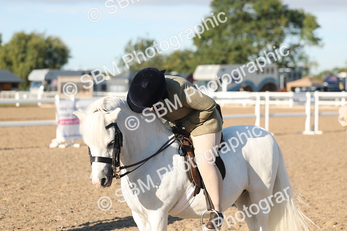 SBM_10926 - Class 301 - Ridden M&M Small Breeds